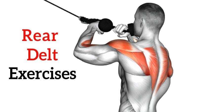 Rear Delt Exercises And Workouts