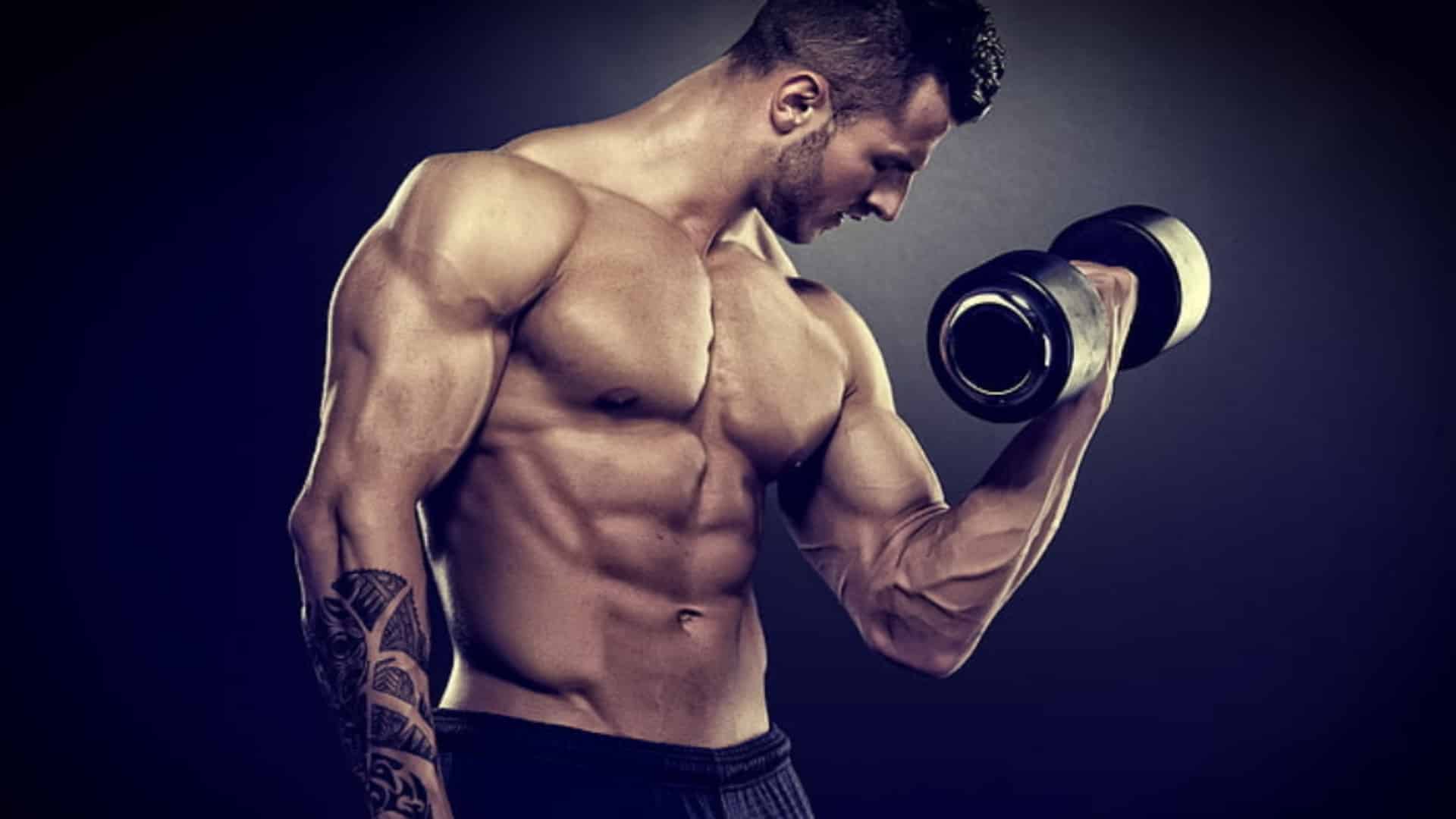 Biceps Dumbbell Exercises