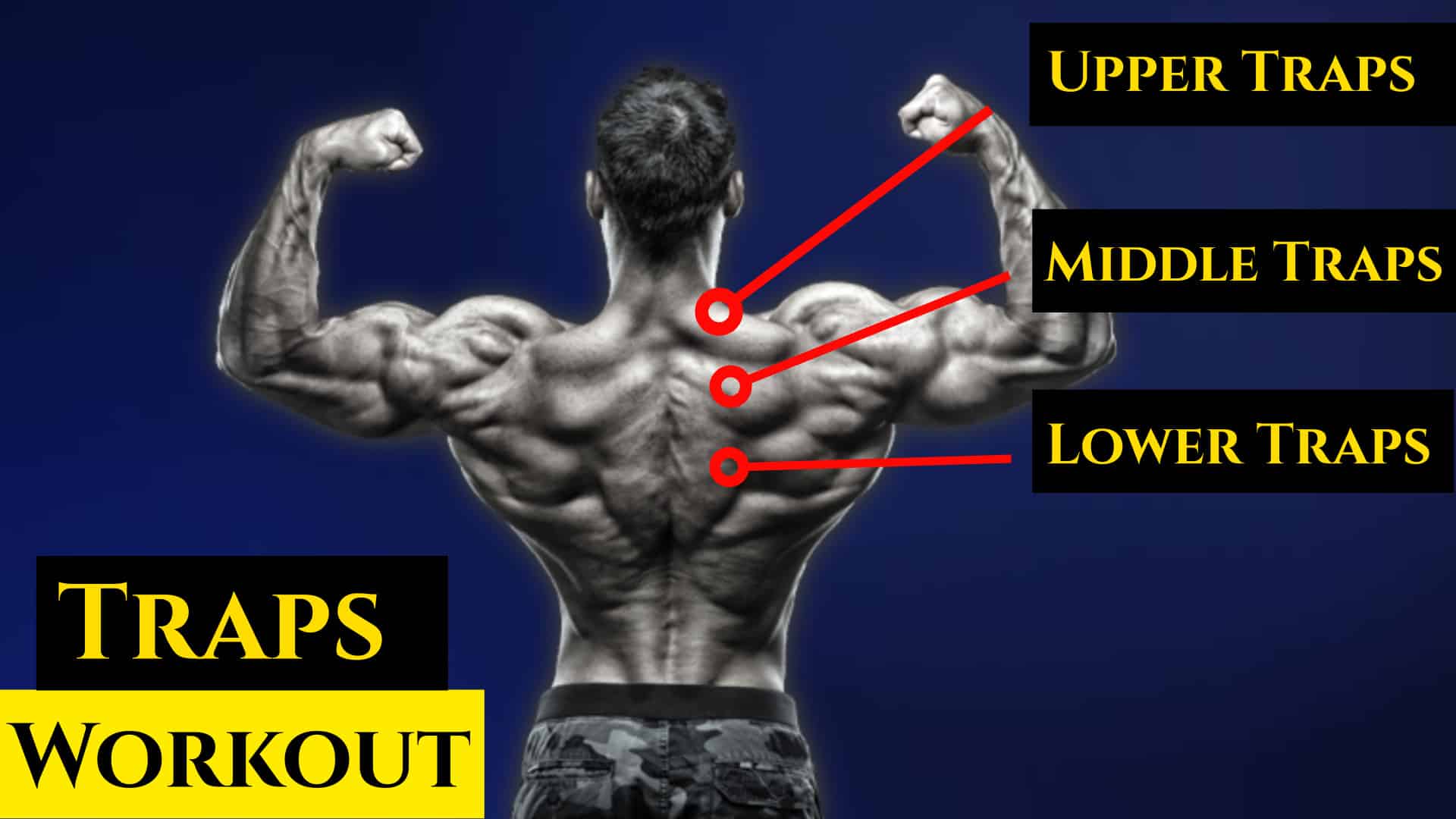 20 Best Trap Workout and Exercises for Mass and Strength