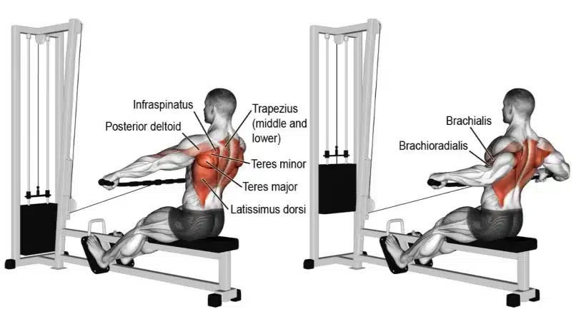 Wide-Grip-Seated-Row