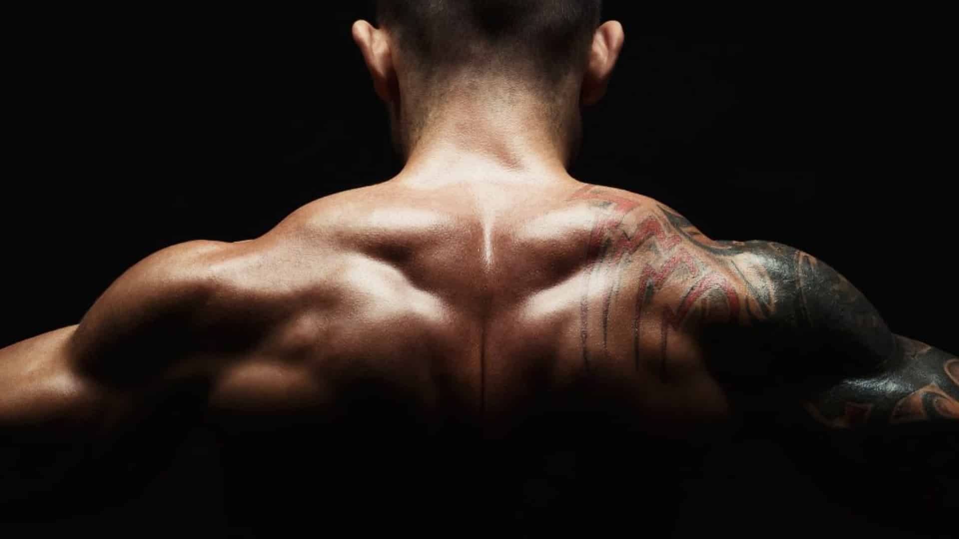 Best Upper Trap Exercises For Muscle Mass and Strength