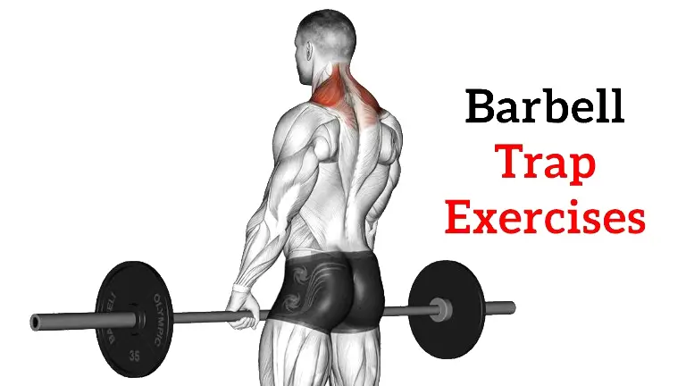 Barbell Trap Exercises
