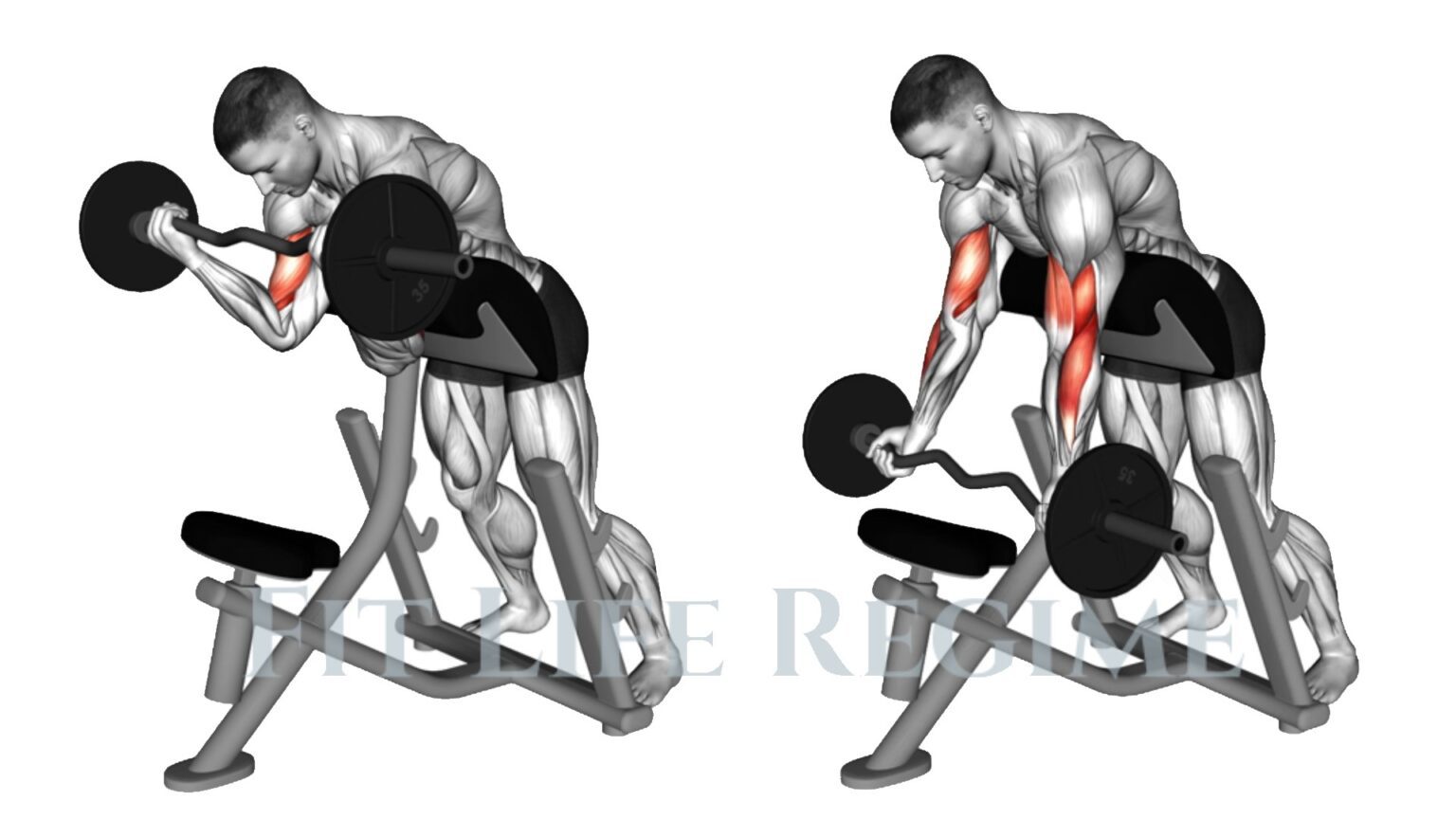 Standing Preacher Curl How To Do, Form & Alternate