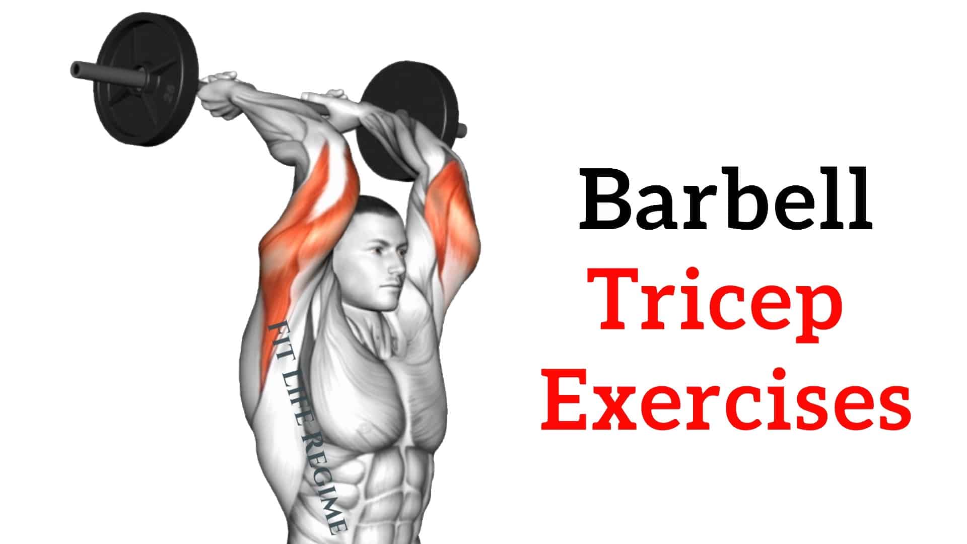 Barbell Tricep Exercises & Workouts