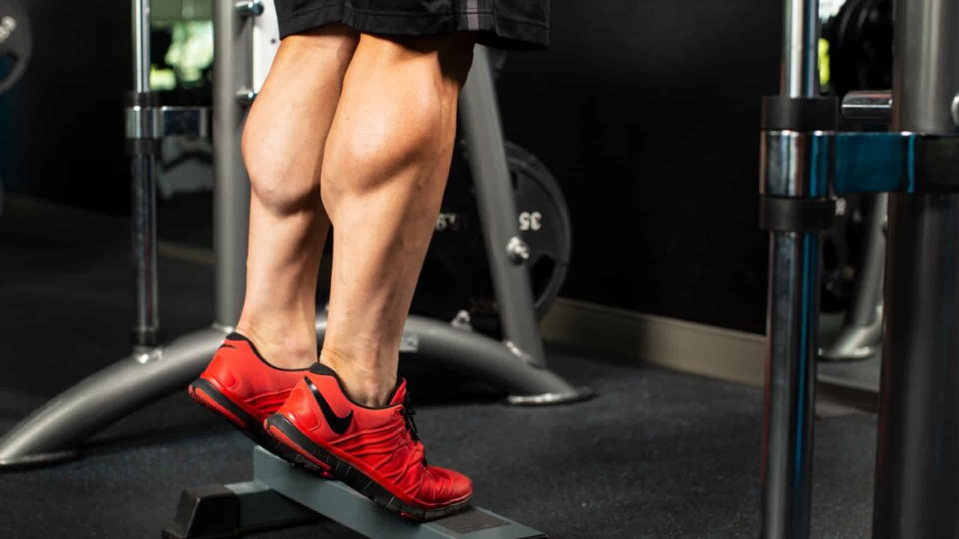 Barbell Leg Workout For Mass and Strength