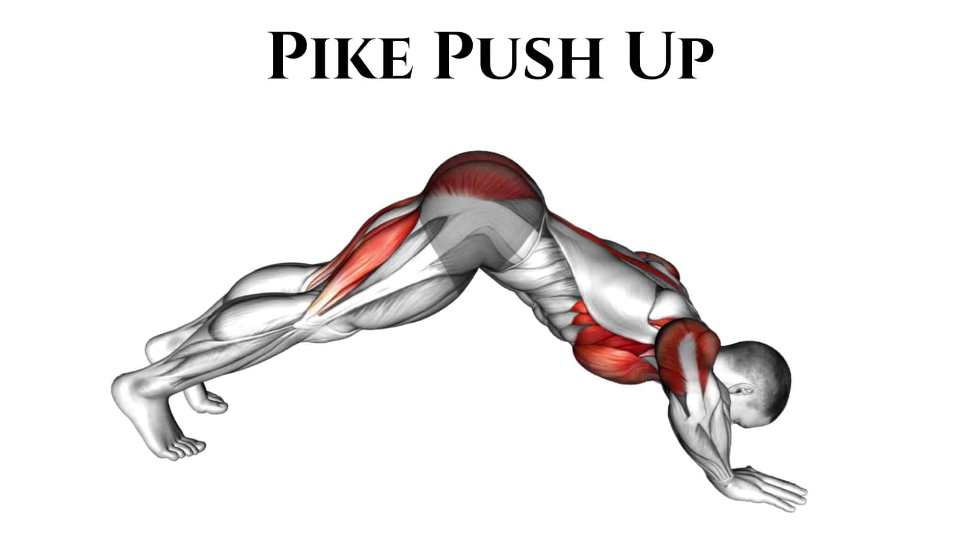 Pike Push Up.