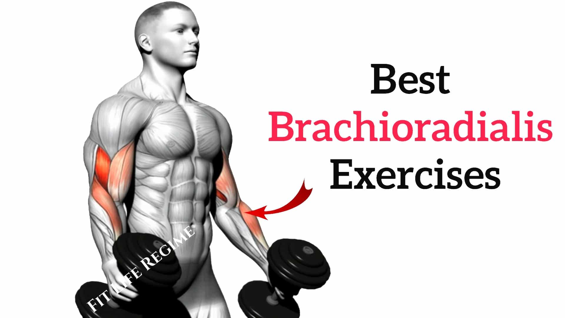best brachioradialis exercises