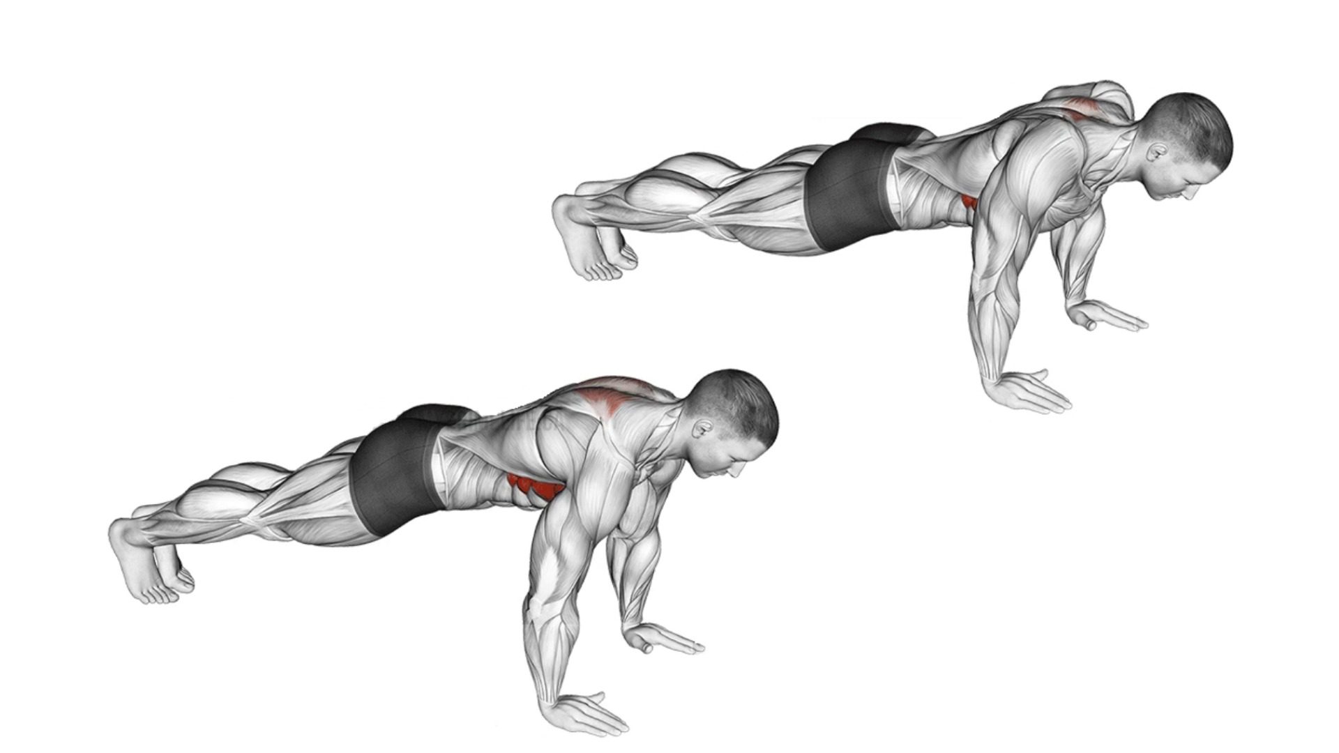 How To Do Scapula Push Ups And Its Other Variations