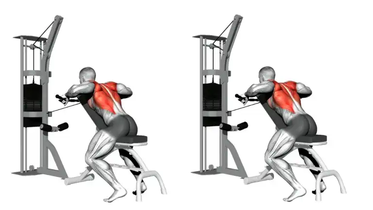 Incline Chest Supported Cable Row