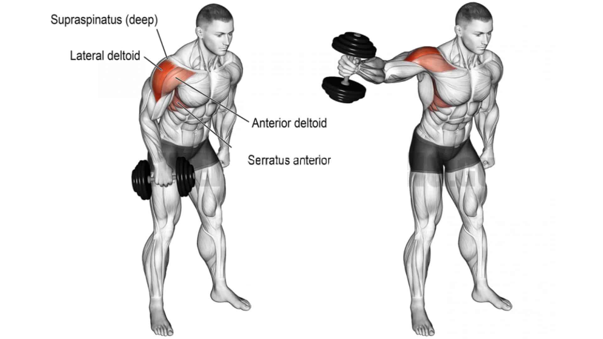 Dumbbell one-arm lateral raise