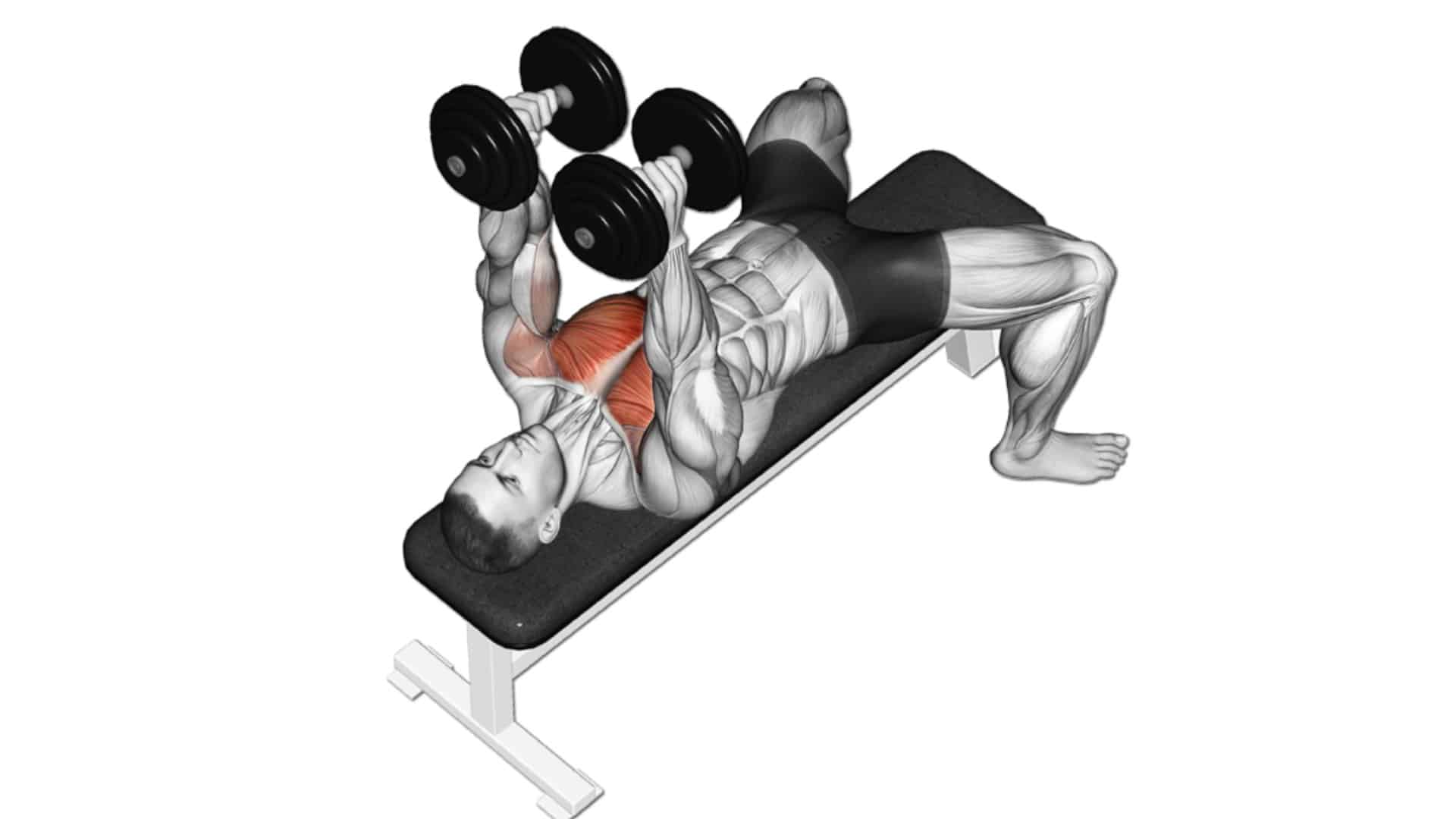 Dumbbell Squeeze Press