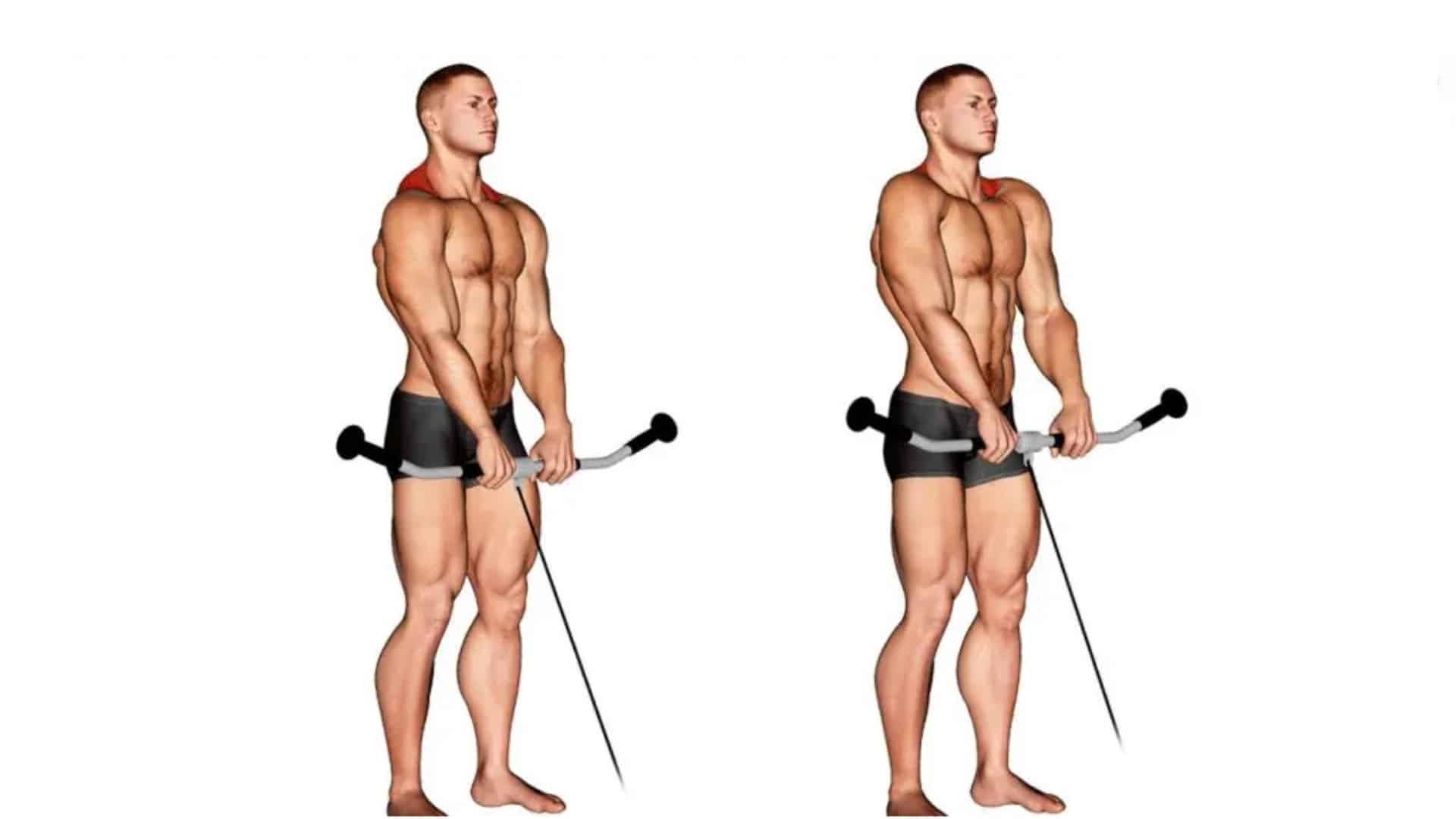 Shrug Exercise Benefits, Variations, Muscles used, Tips Fit Life Regime