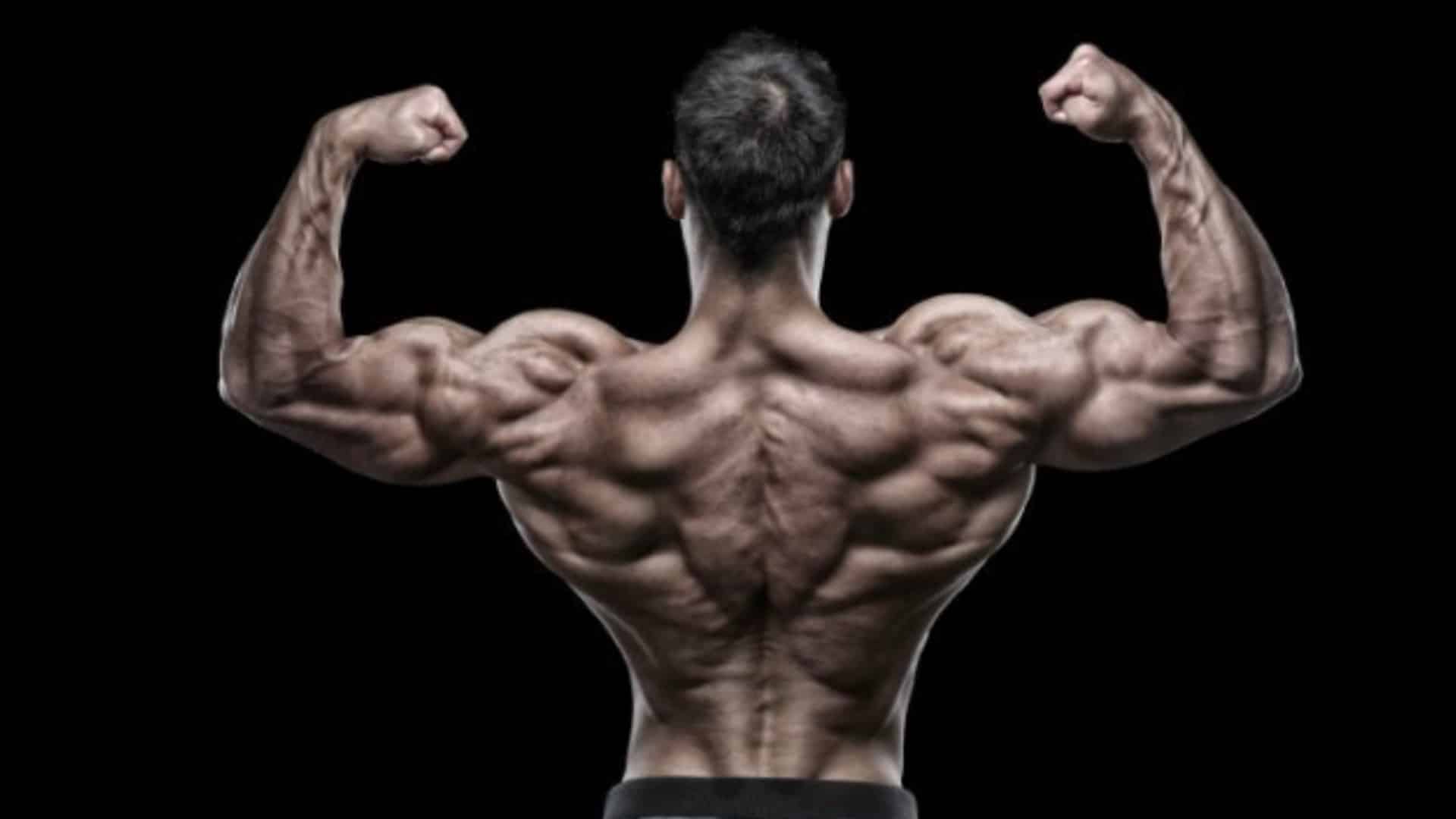 16 Best Back Exercises at Home (Bigger & Stronger Back) Fit Life Regime