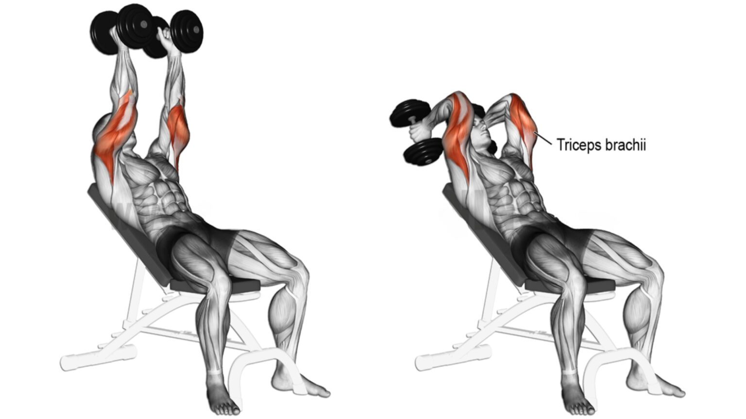 How To Do Incline Tricep Extension & Its Variations