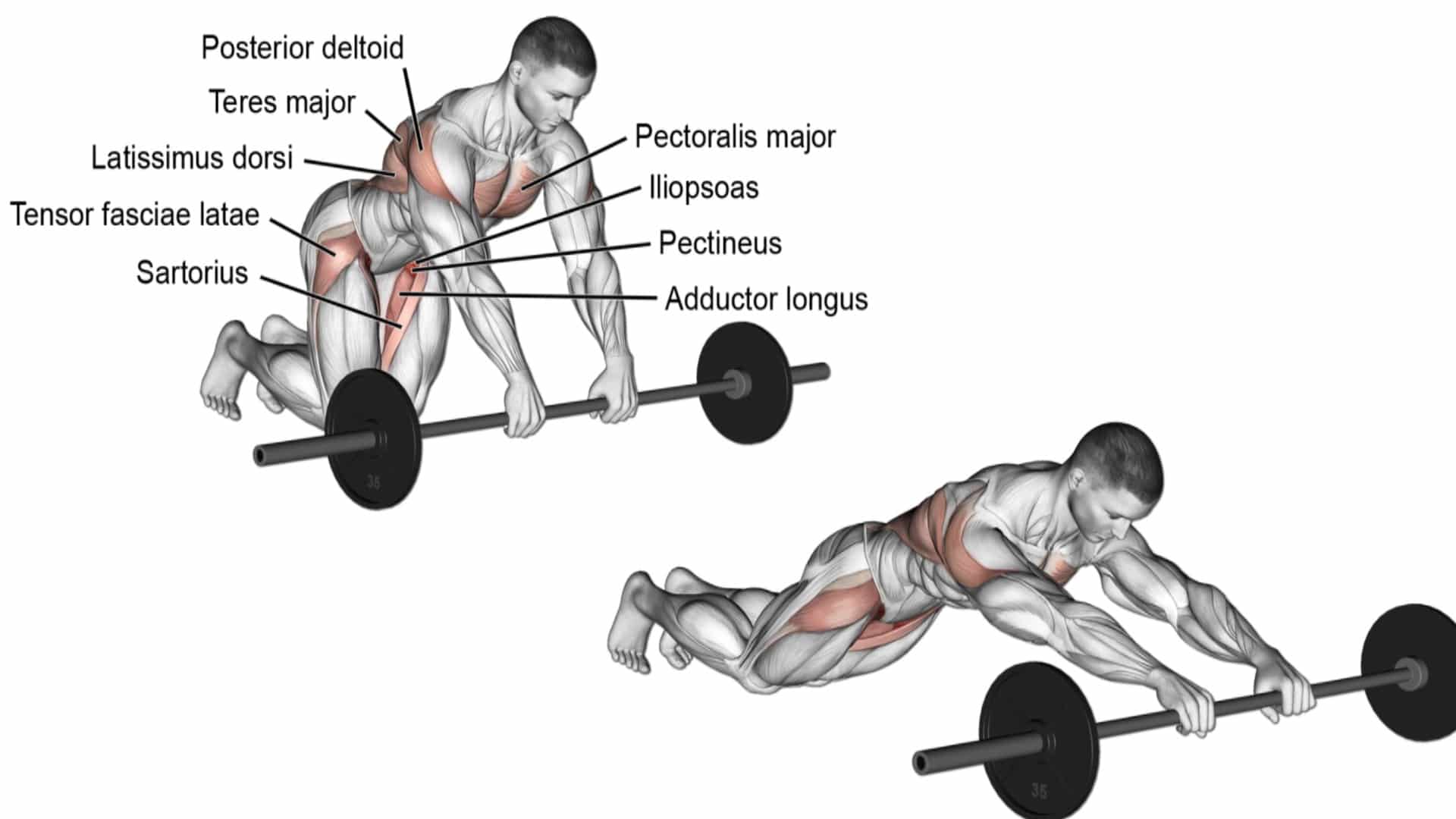 Barbell rollout