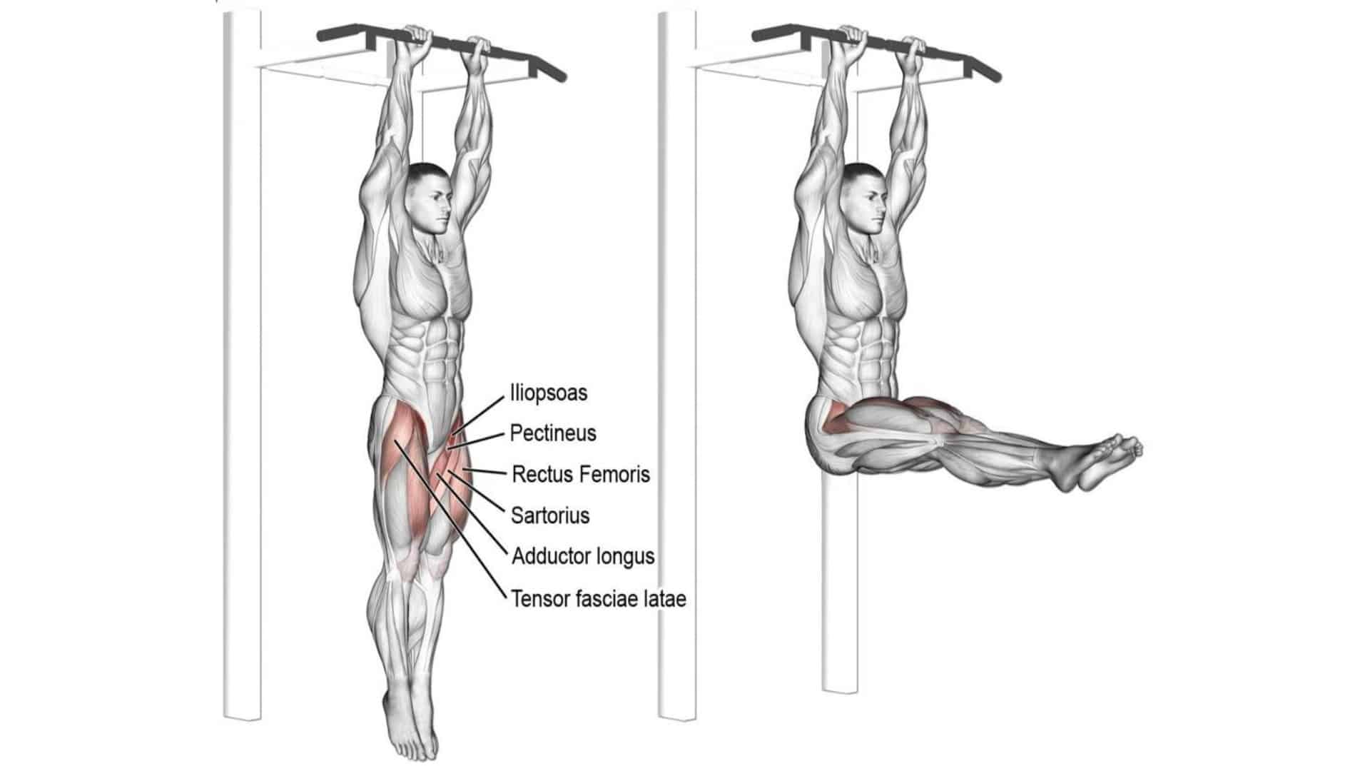 Hanging Straight Leg Raise abs Exercises