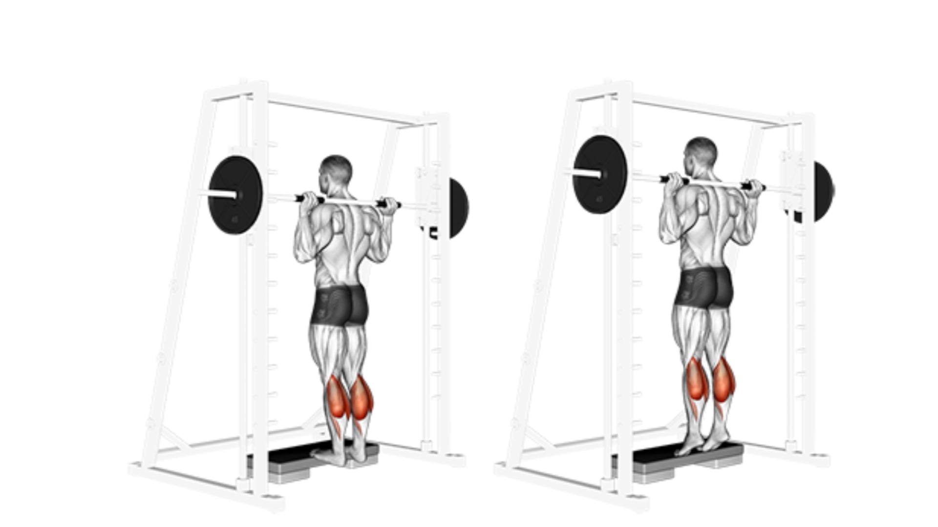 The Ultimate Guide To Calf Raises Benefits How To Do And Tips