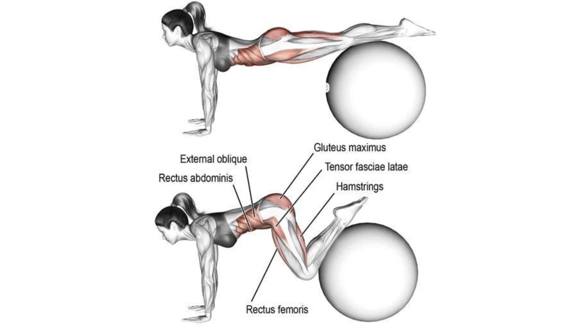 Stability Ball Tuck