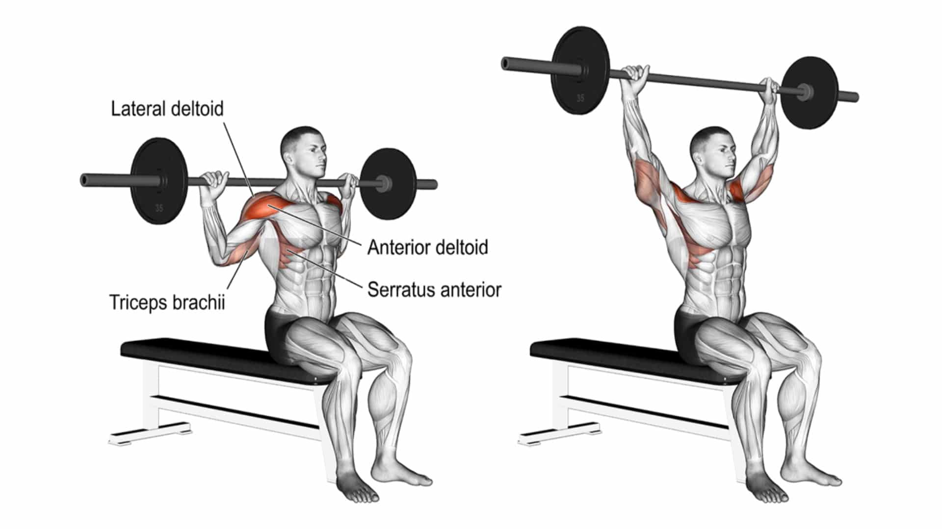 Behind-the-Neck Press
