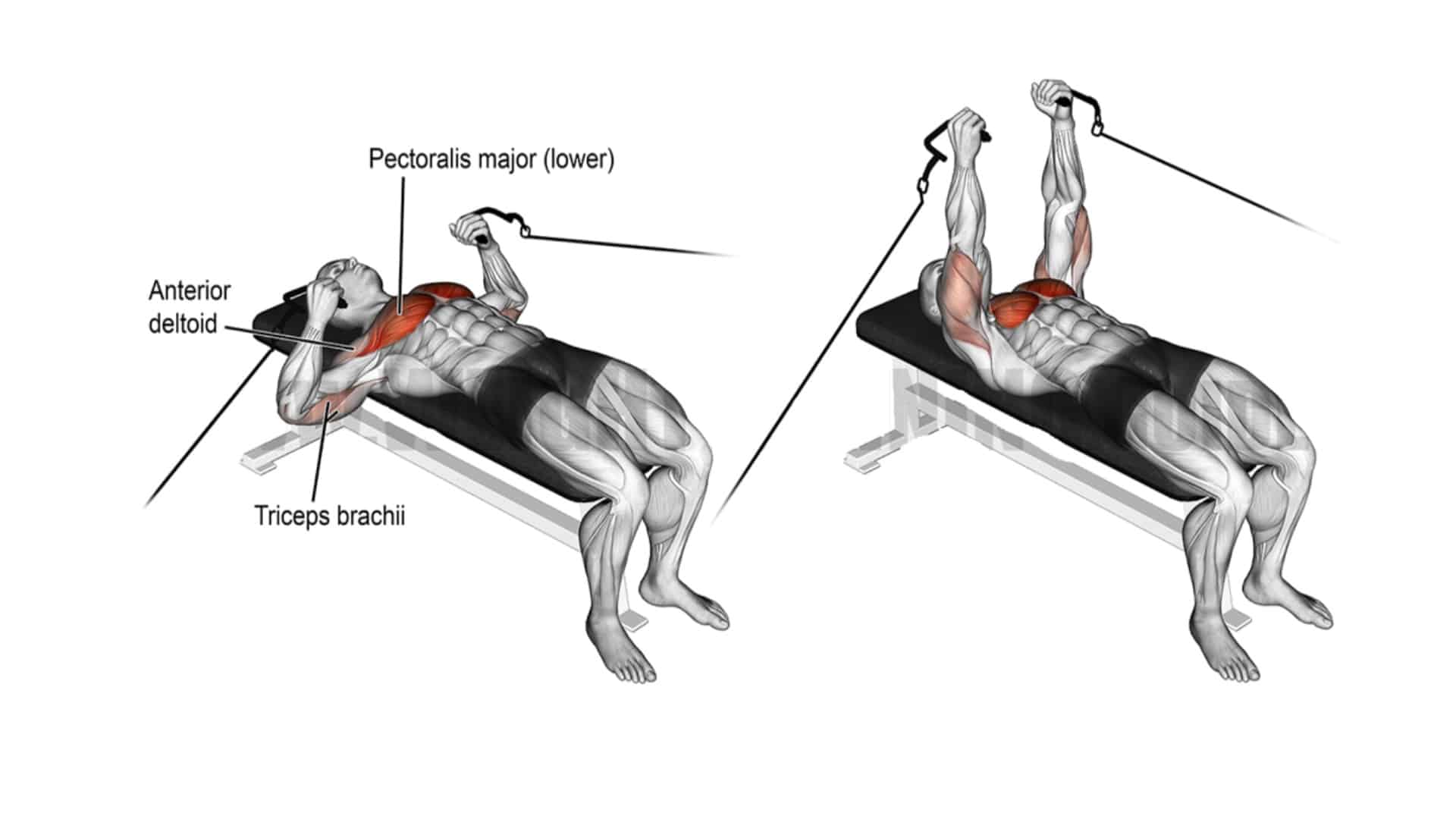 Cable Flat Bench Press