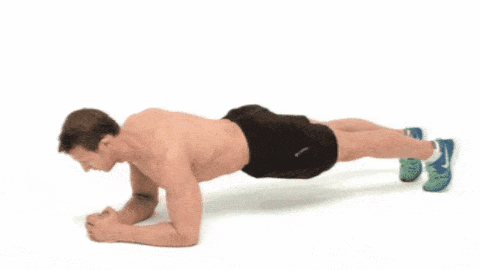 Forearm Plank Exercise