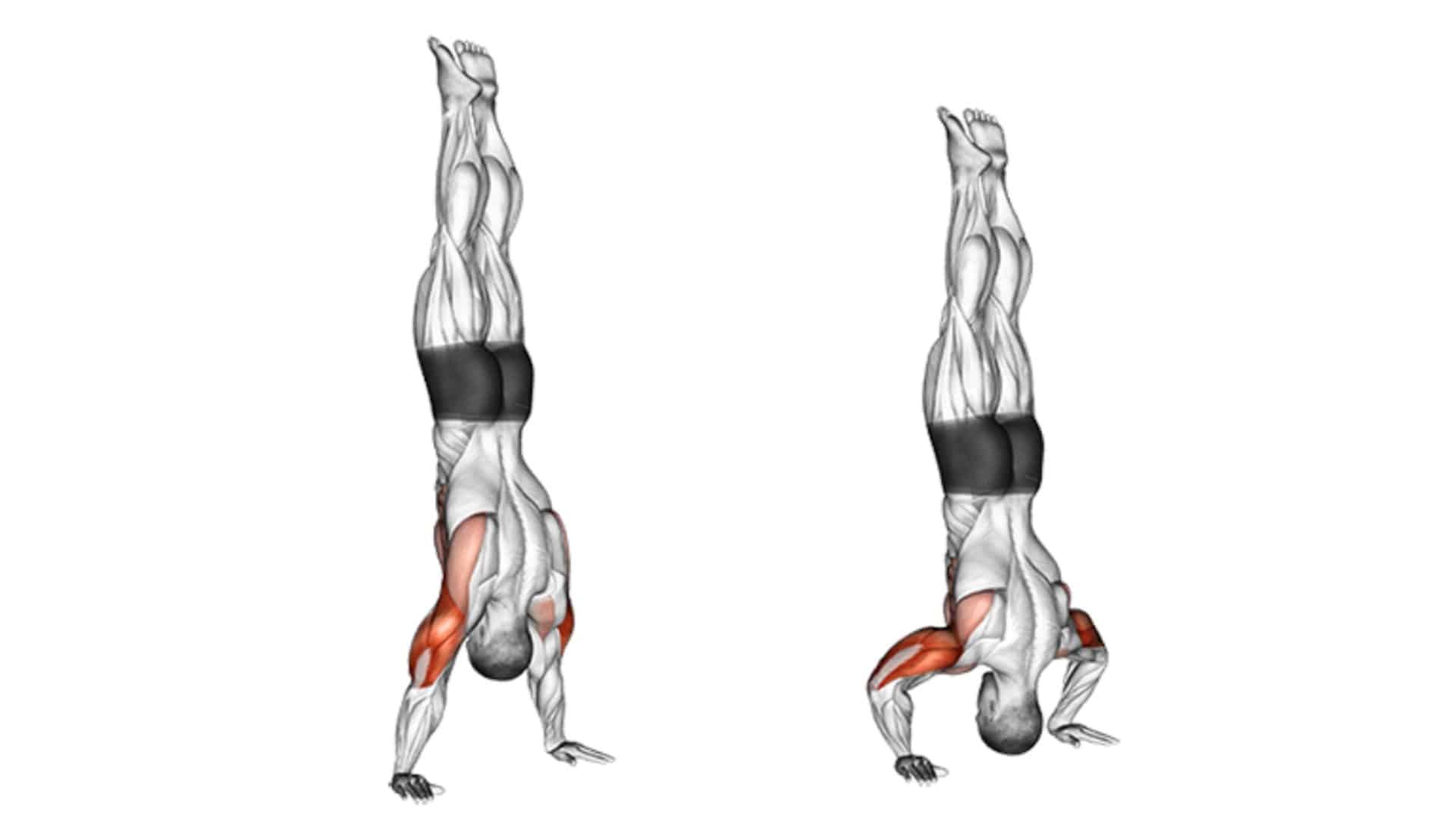 Handstand Push Up