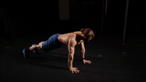 Plank Shoulder Tap exercise