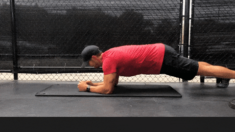 Plank with Arm Extension exercise