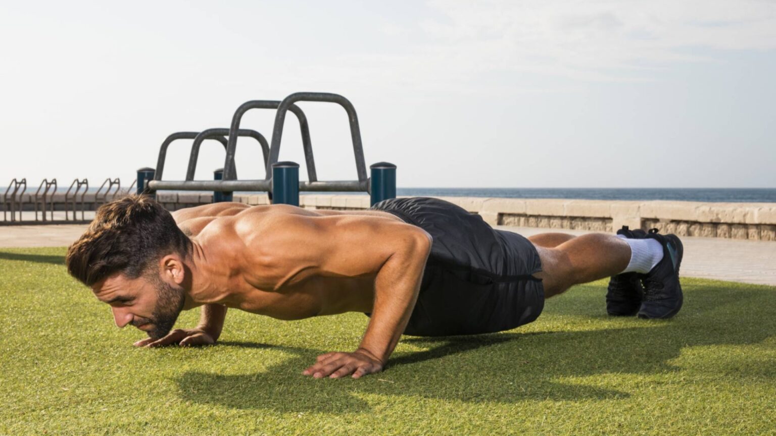 PushUp Muscles Worked Complete Guide