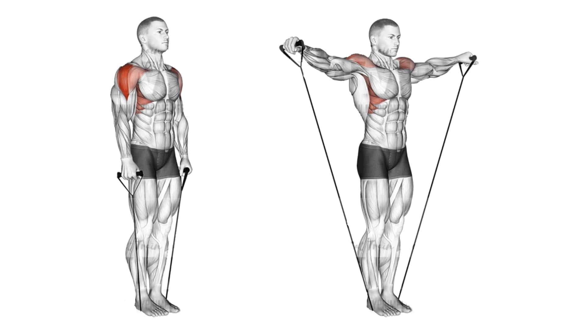 resistance band lateral raise