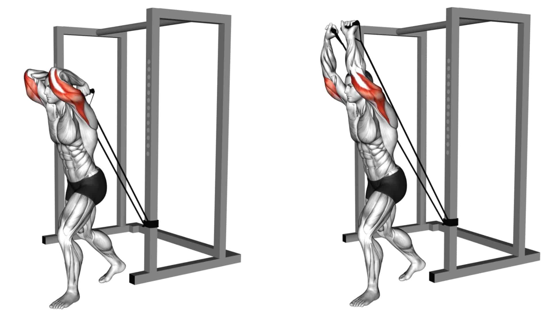 best tricep exercises for mass