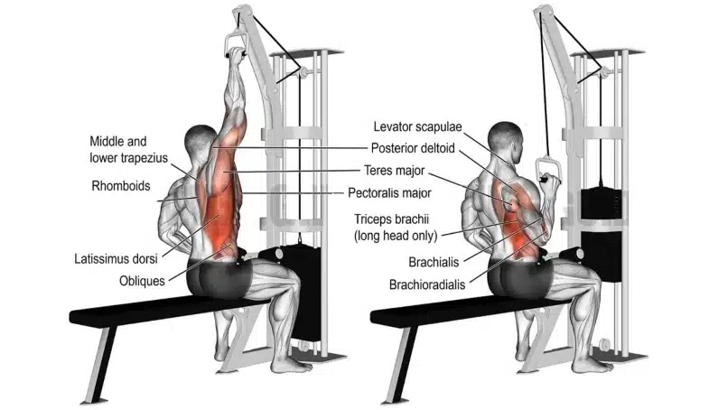 One-Arm-Lat-Pull-Down
