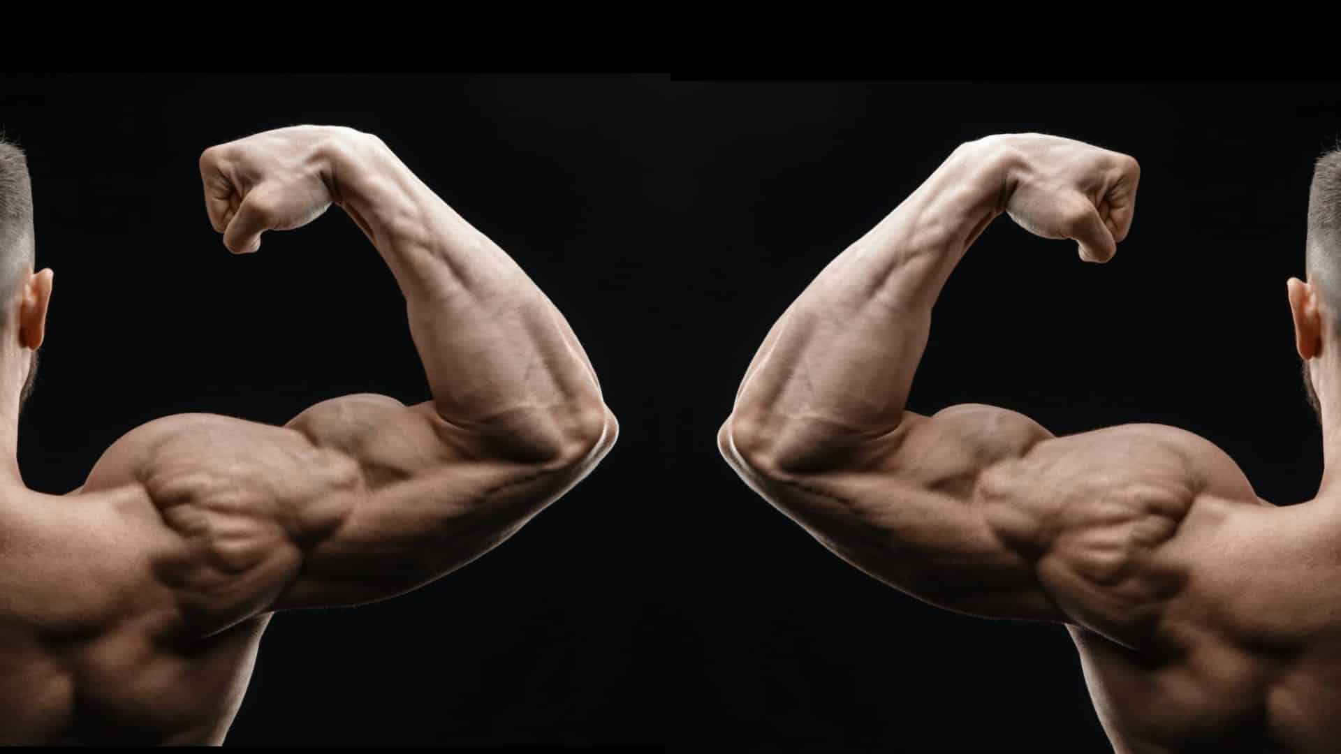 Posterior deltoid exercises for Bigger Shoulder