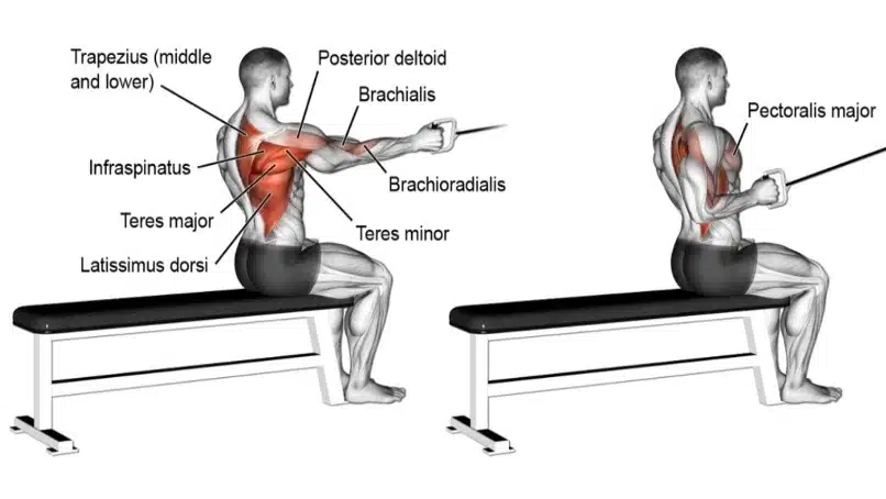 Seated One Arm Cable Row