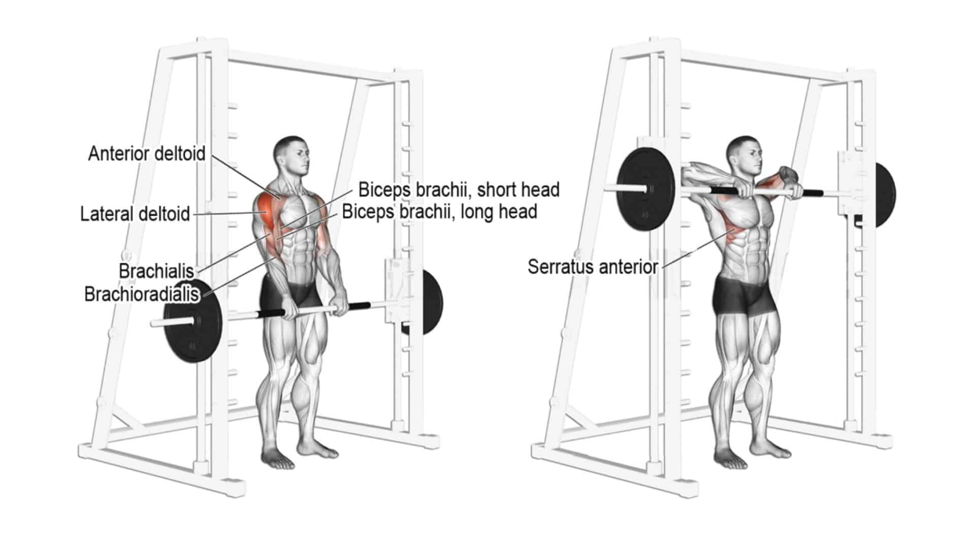 Standing Barbell Upright Row