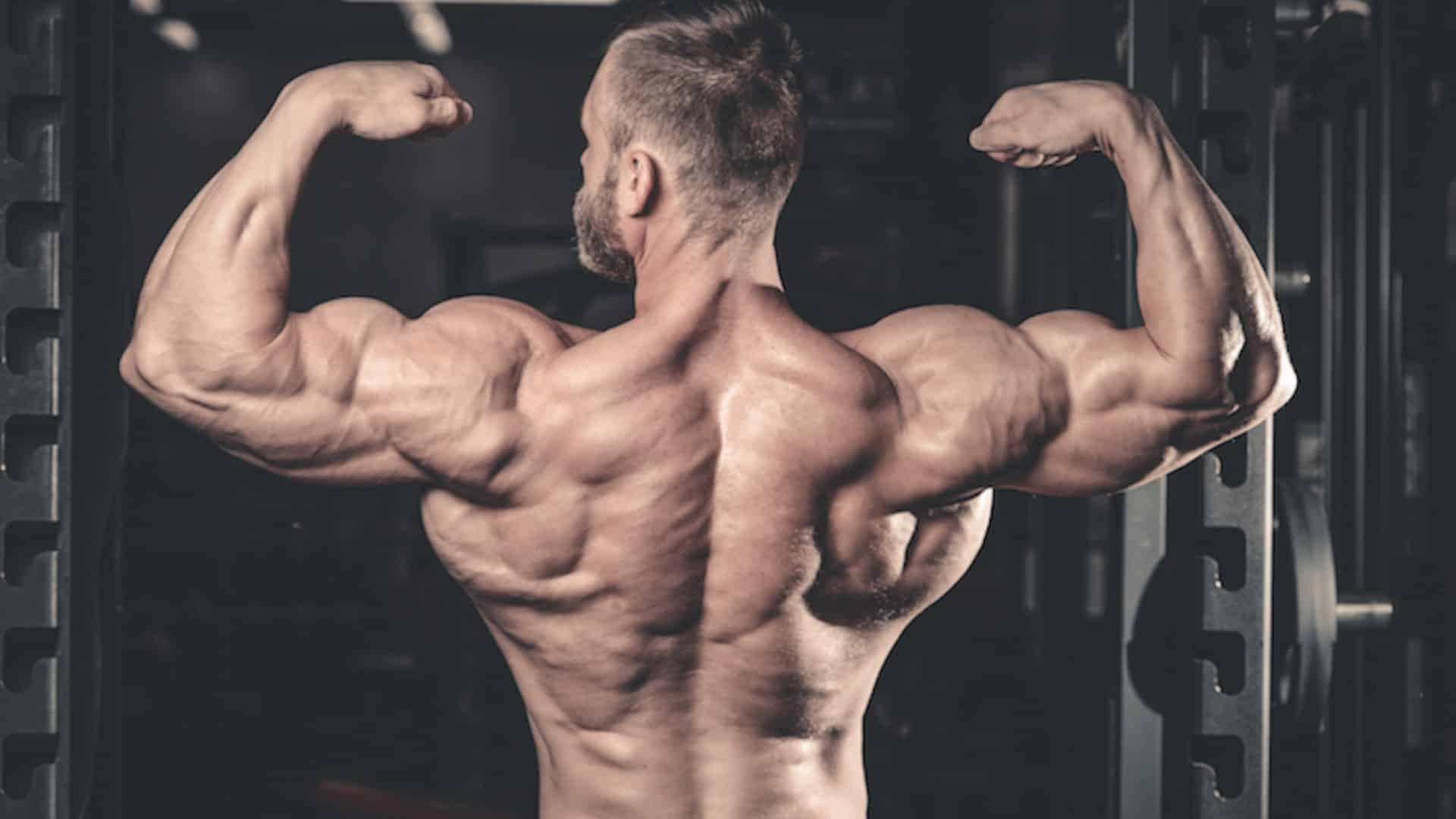 Best Exercises To Build and Strengthen Your Lower Traps