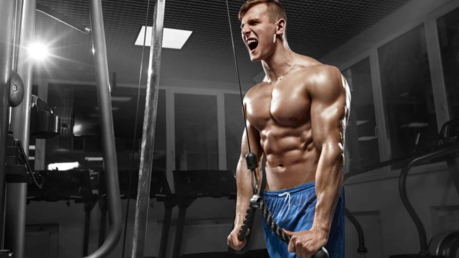 Tricep rope extension Muscles Worked, Benefits, Form