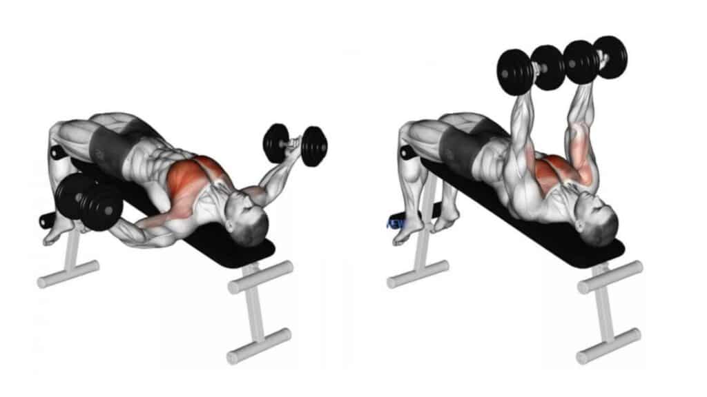 Dumbbell Decline Twist Fly