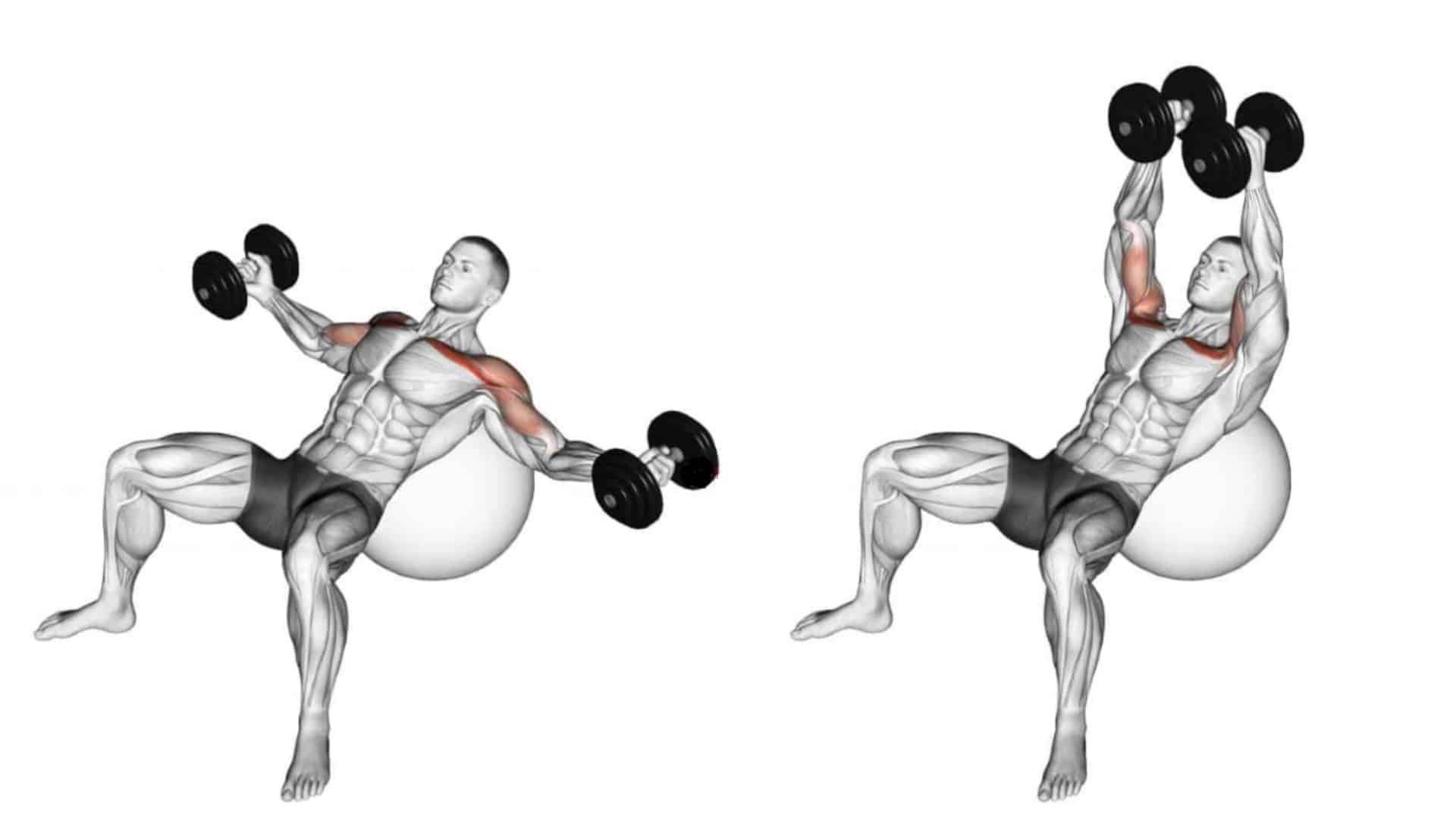 Incline Dumbbell Chest fly On Stability Ball