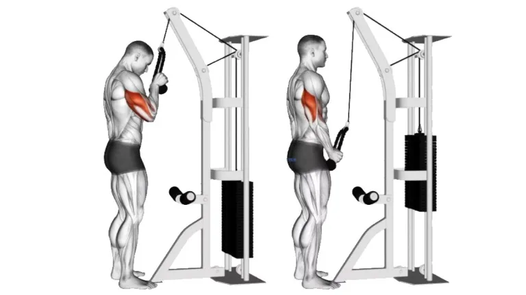 One Arm Rope Tricep Pushdown
