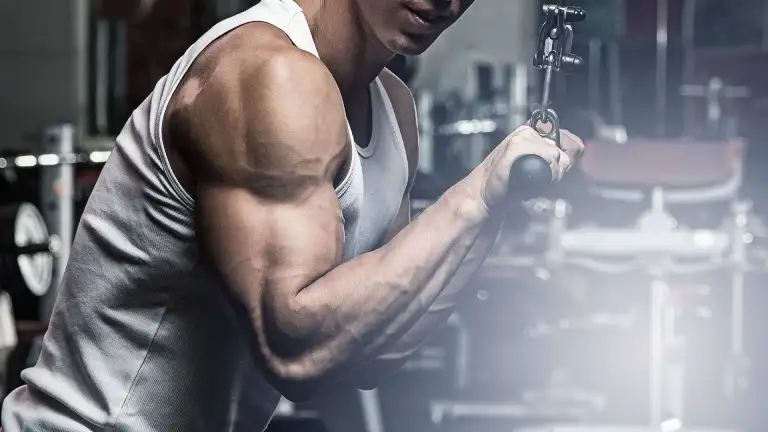 Triceps Pushdown Exercises for Building Bigger Arms