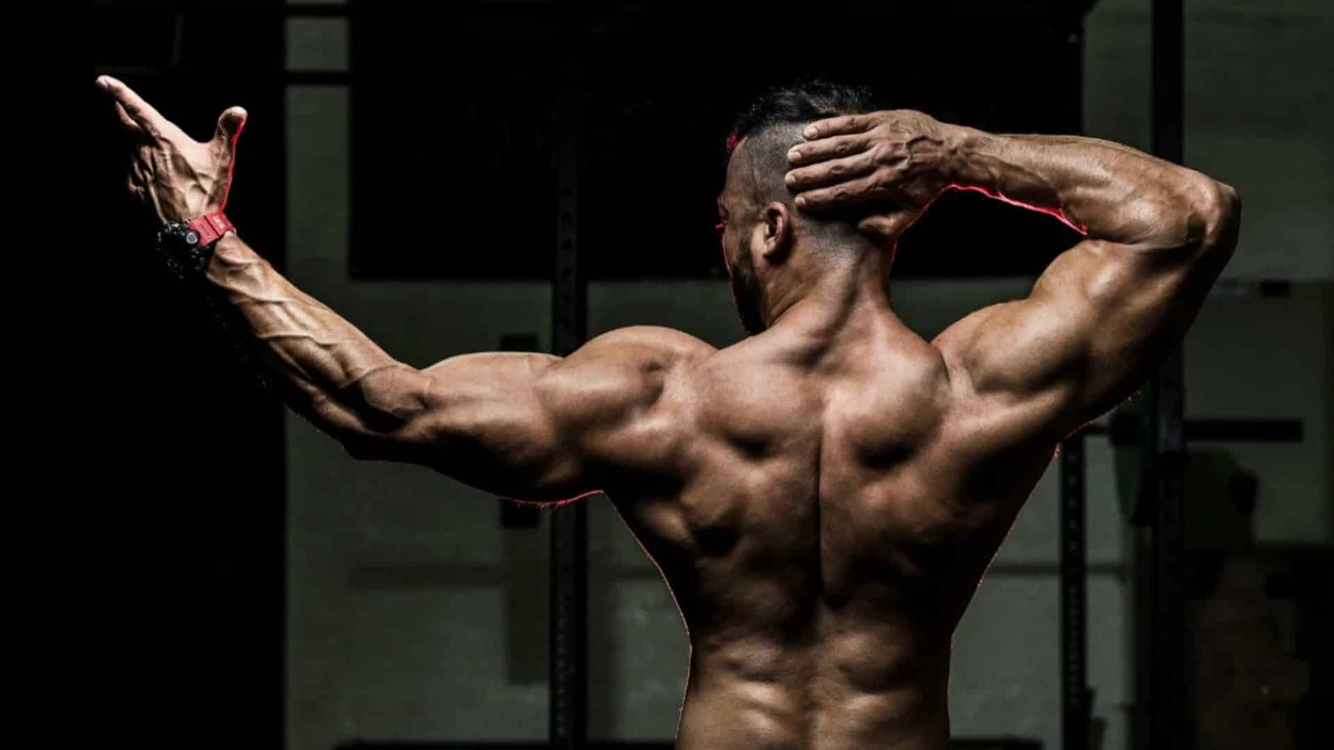 Best Back and Bicep Workout for Muscle Growth