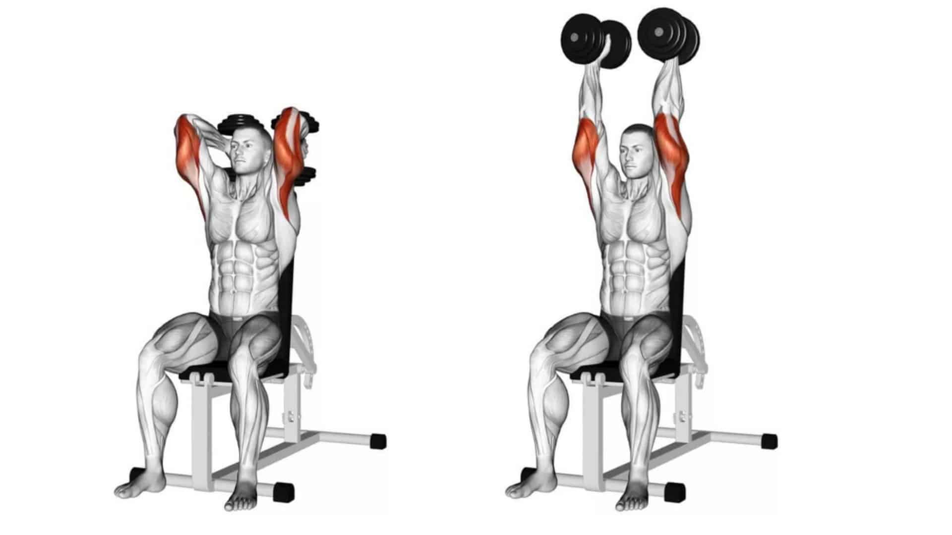 Two Arm Dumbbell Extension.
