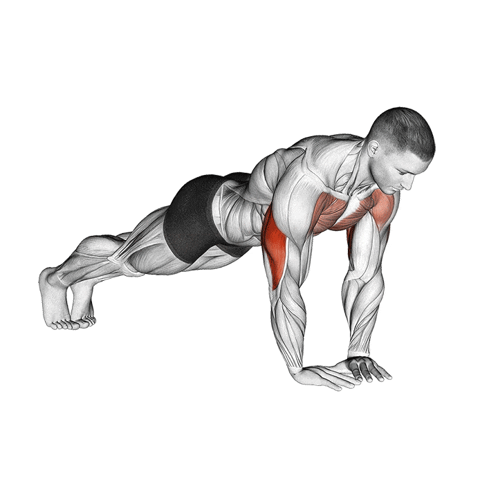 Diamond Push Ups How To Do Muscle Worked Benefits