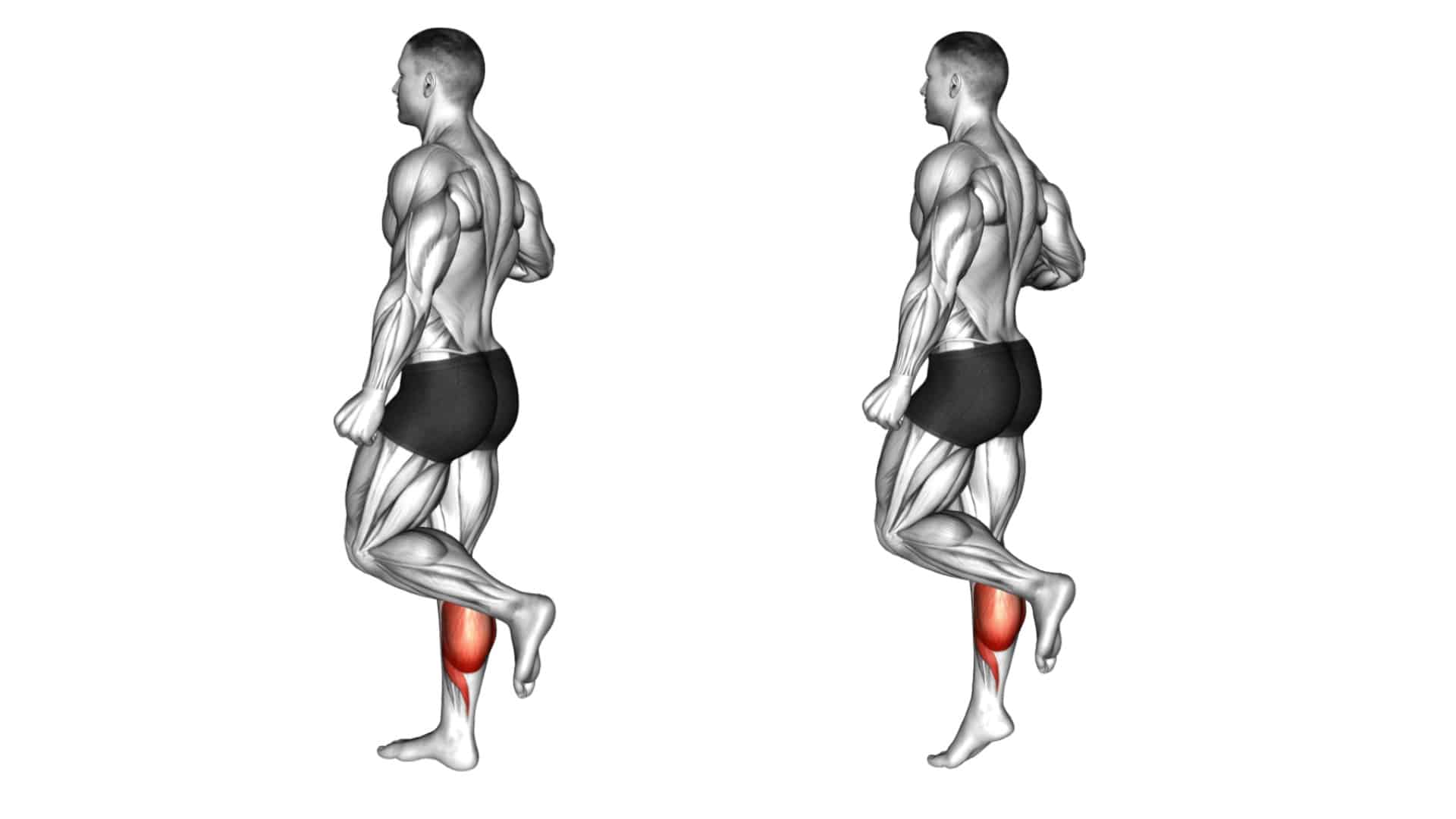 Bodyweight Calf Raise to Build Mass and Strength of Calves