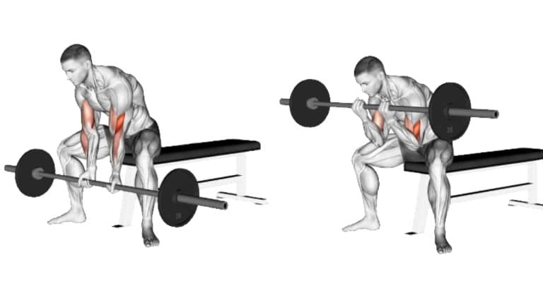 Barbell Close Grip Concentration Curl