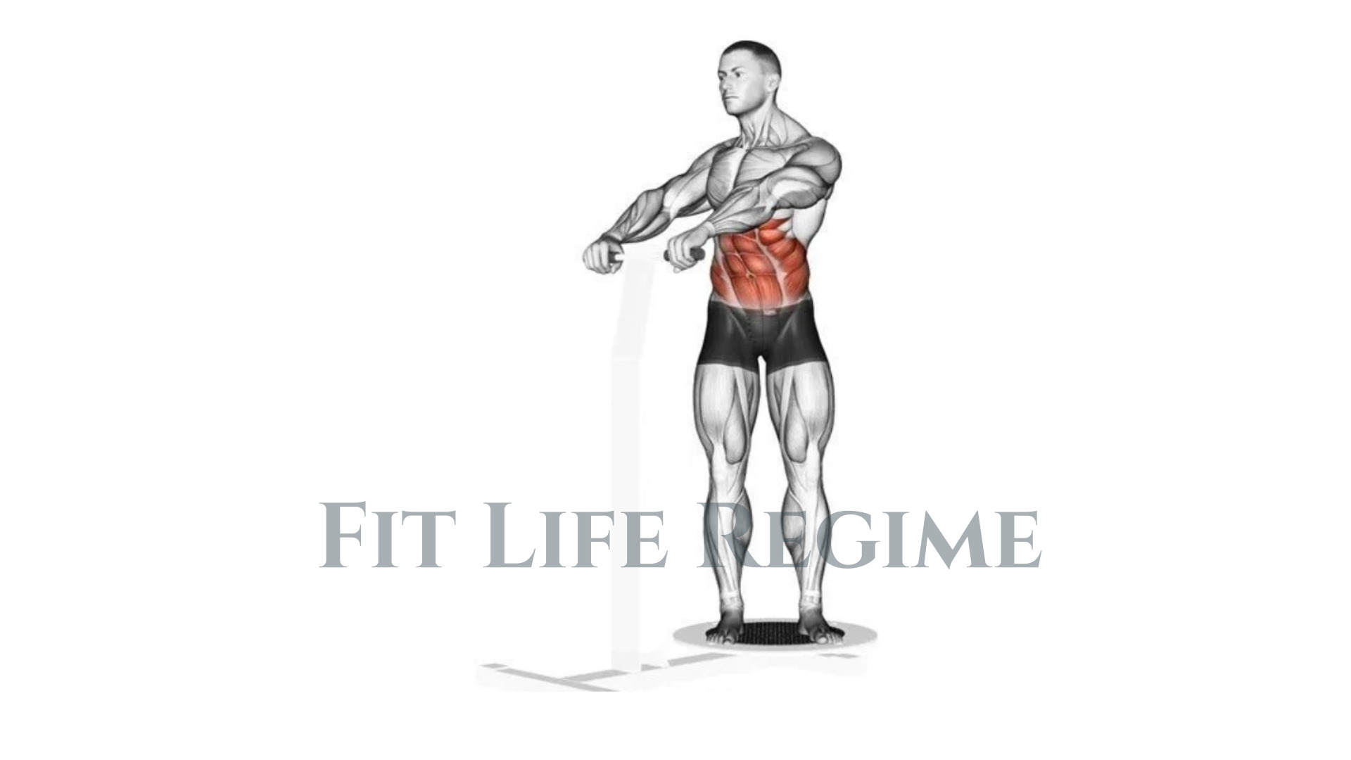 Standing Oblique Twist Benefits and Variations