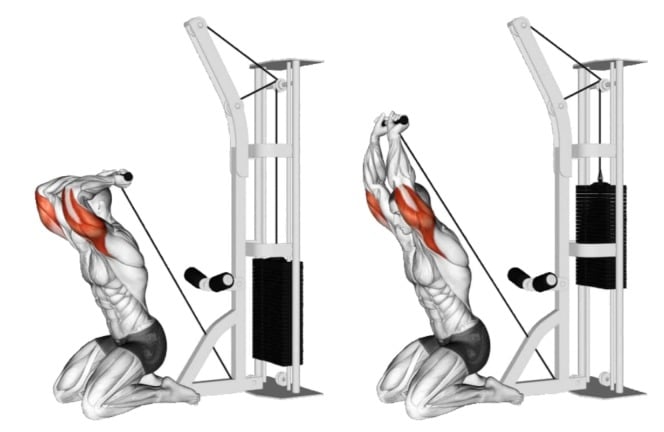 Cable Kneeling Tricep Extension
