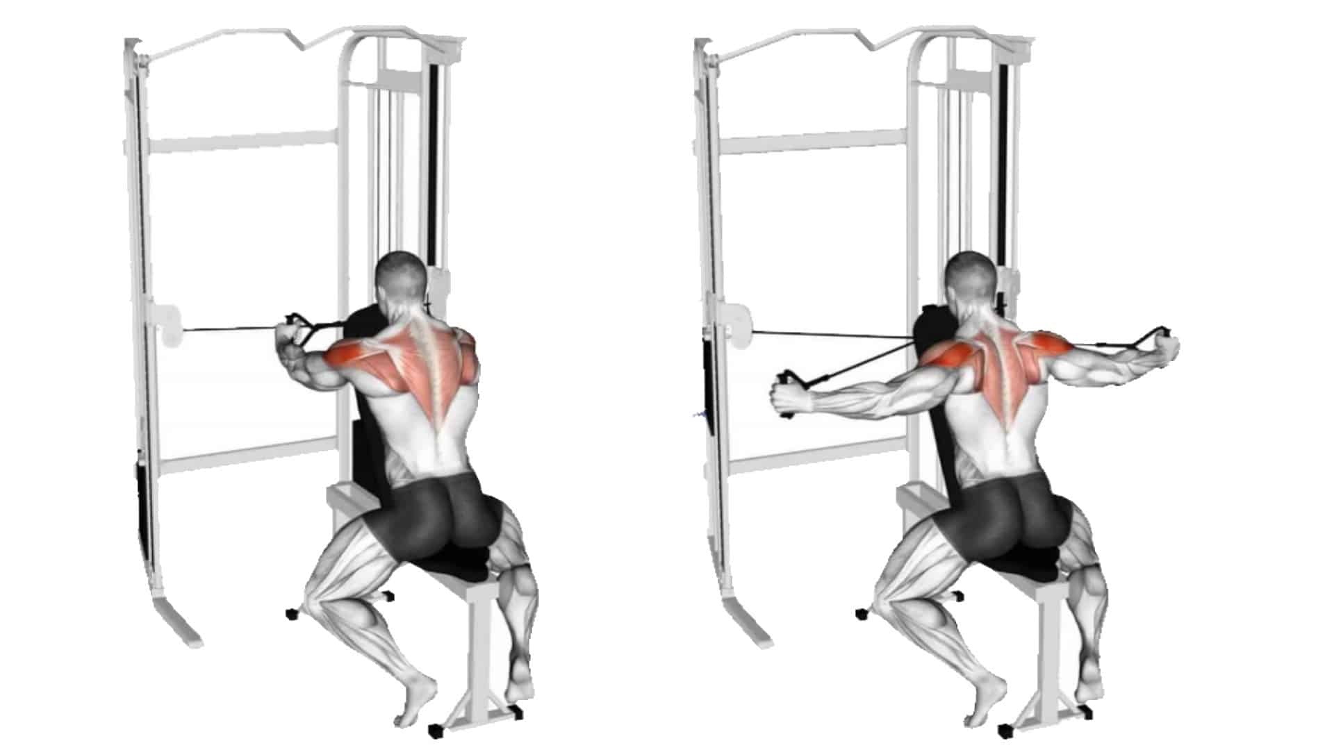 Incline Bench Seated Cable Rear Delt fly