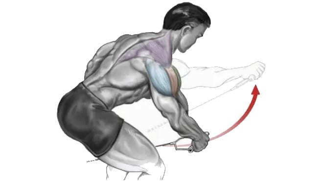 One Arm Bent Over Cable Raise
